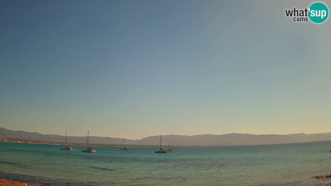 Webcam Cagliari Windsurf Club – Live from Poetto Beach