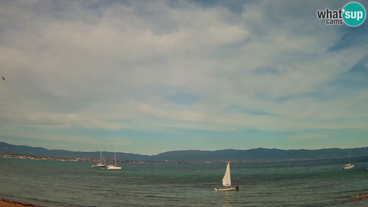 Web kamera Cagliari Windsurf Club – Poetto plaža uživo