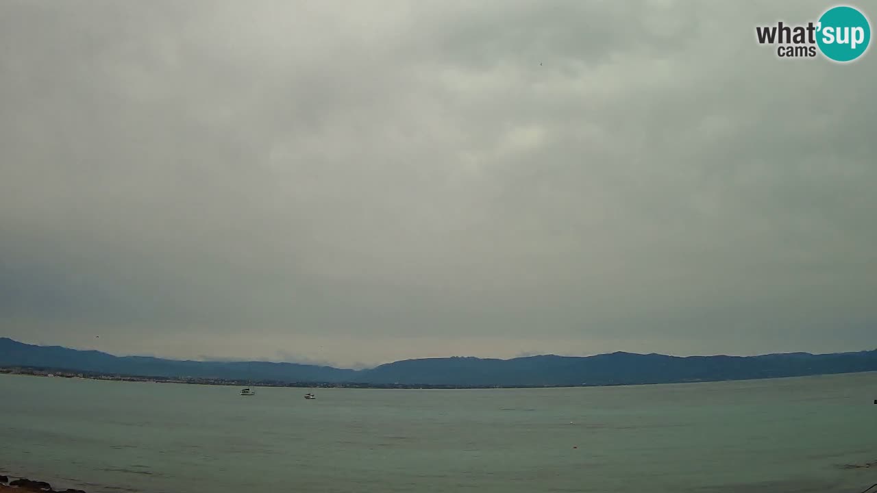 Webcam Cagliari Windsurf Club – Liveblick vom Poetto Strand