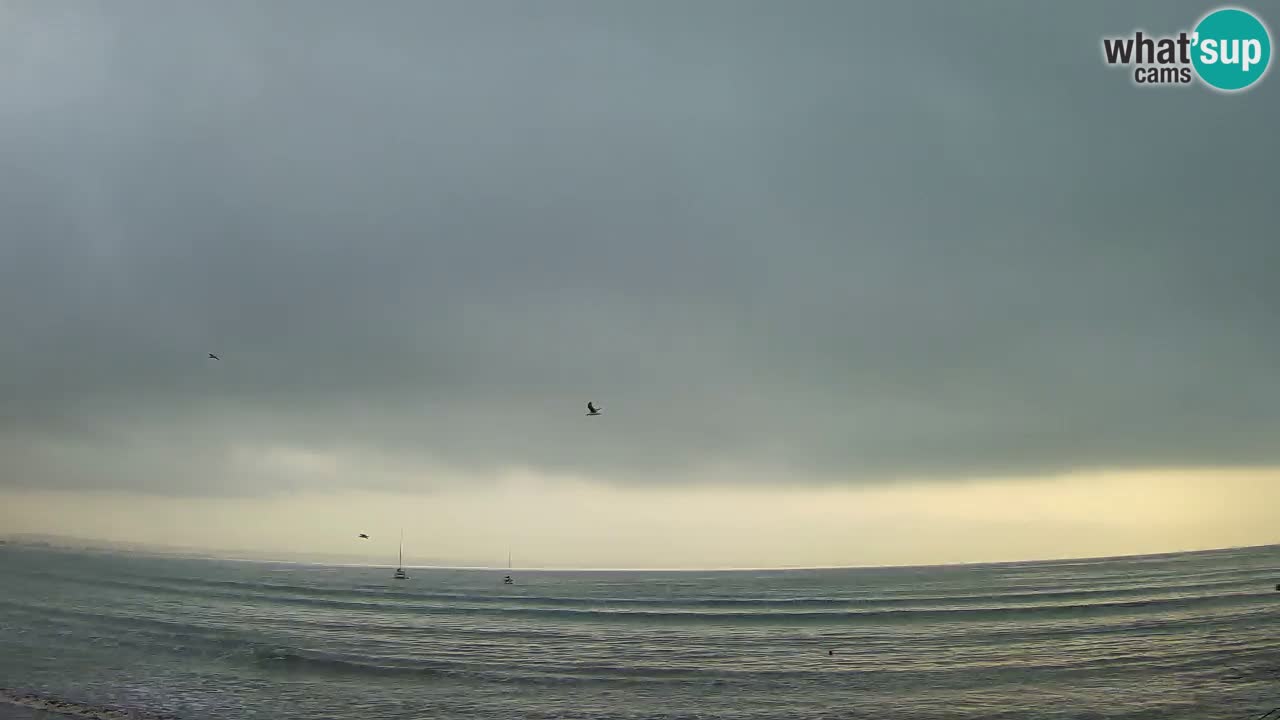 Webcam Cagliari Windsurf Club – Live from Poetto Beach