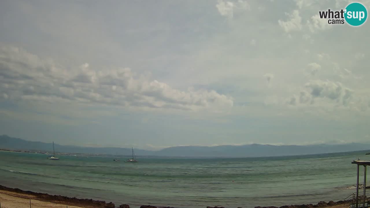 Webcam Cagliari Windsurf Club – Liveblick vom Poetto Strand