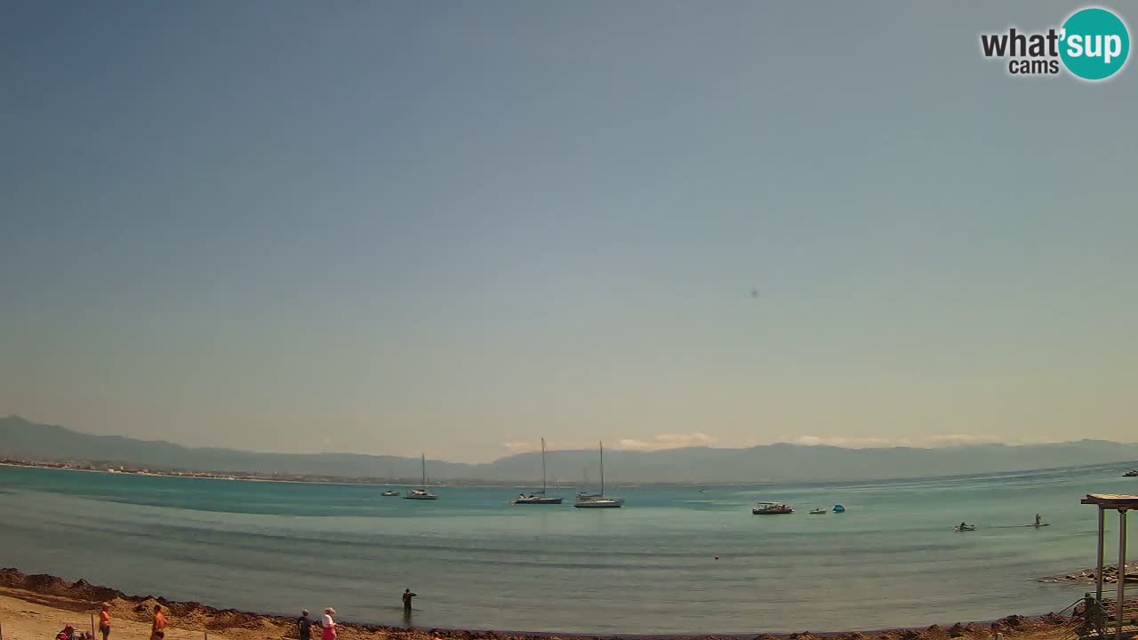 Webcam Cagliari Windsurf Club – Liveblick vom Poetto Strand