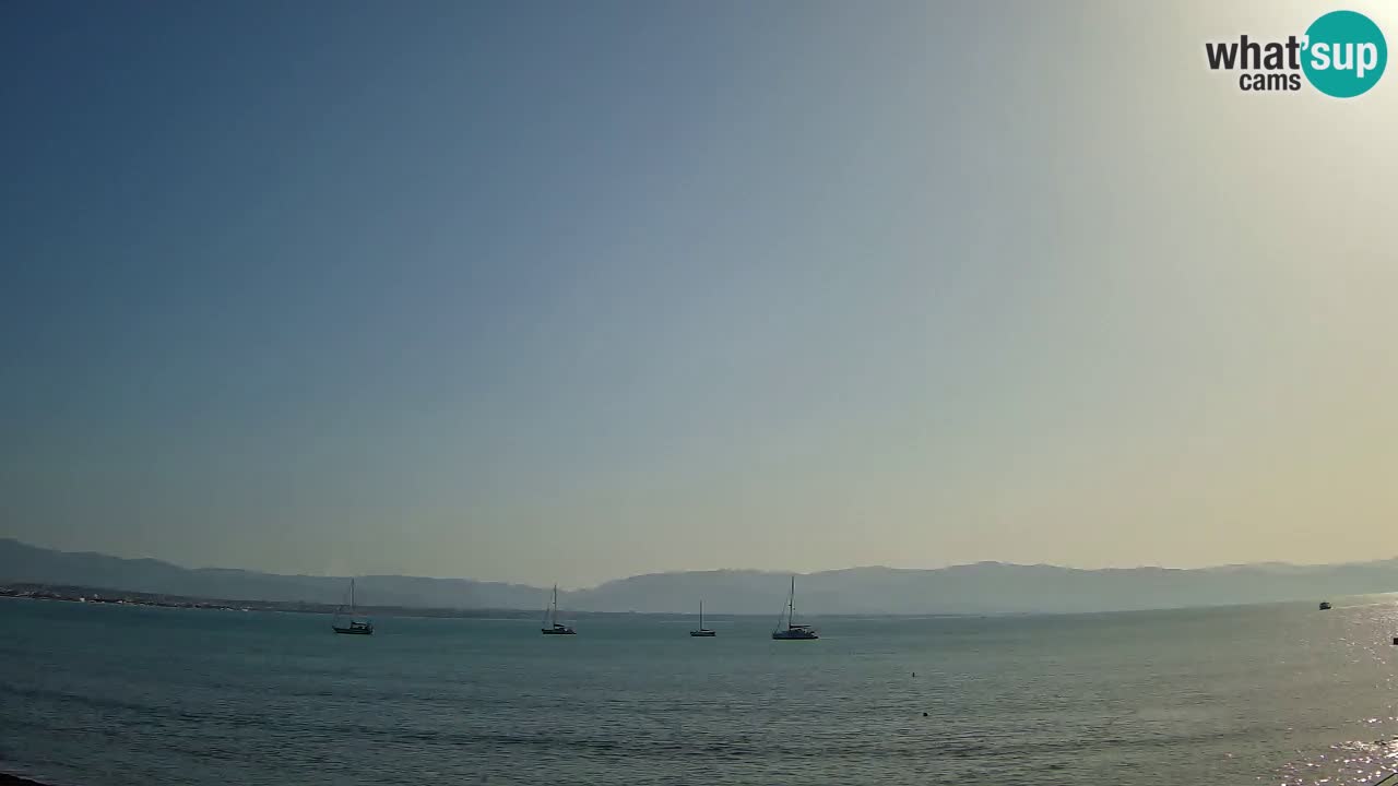 Webcam Cagliari Windsurf Club – Plage du Poetto en direct