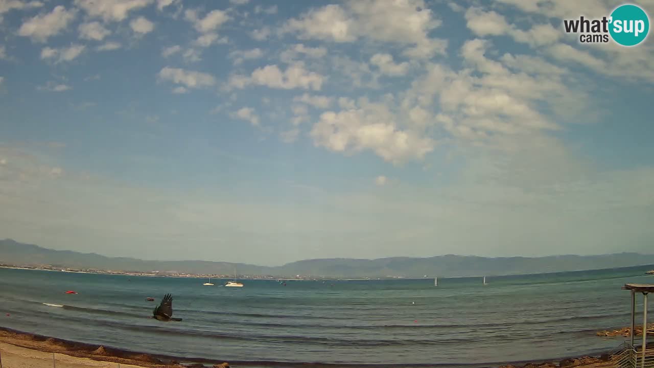 Webcam Cagliari Windsurf Club – Spiaggia del Poetto in diretta