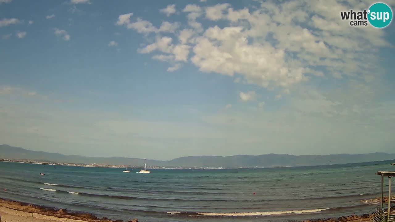 Webcam Cagliari Windsurf Club – Liveblick vom Poetto Strand