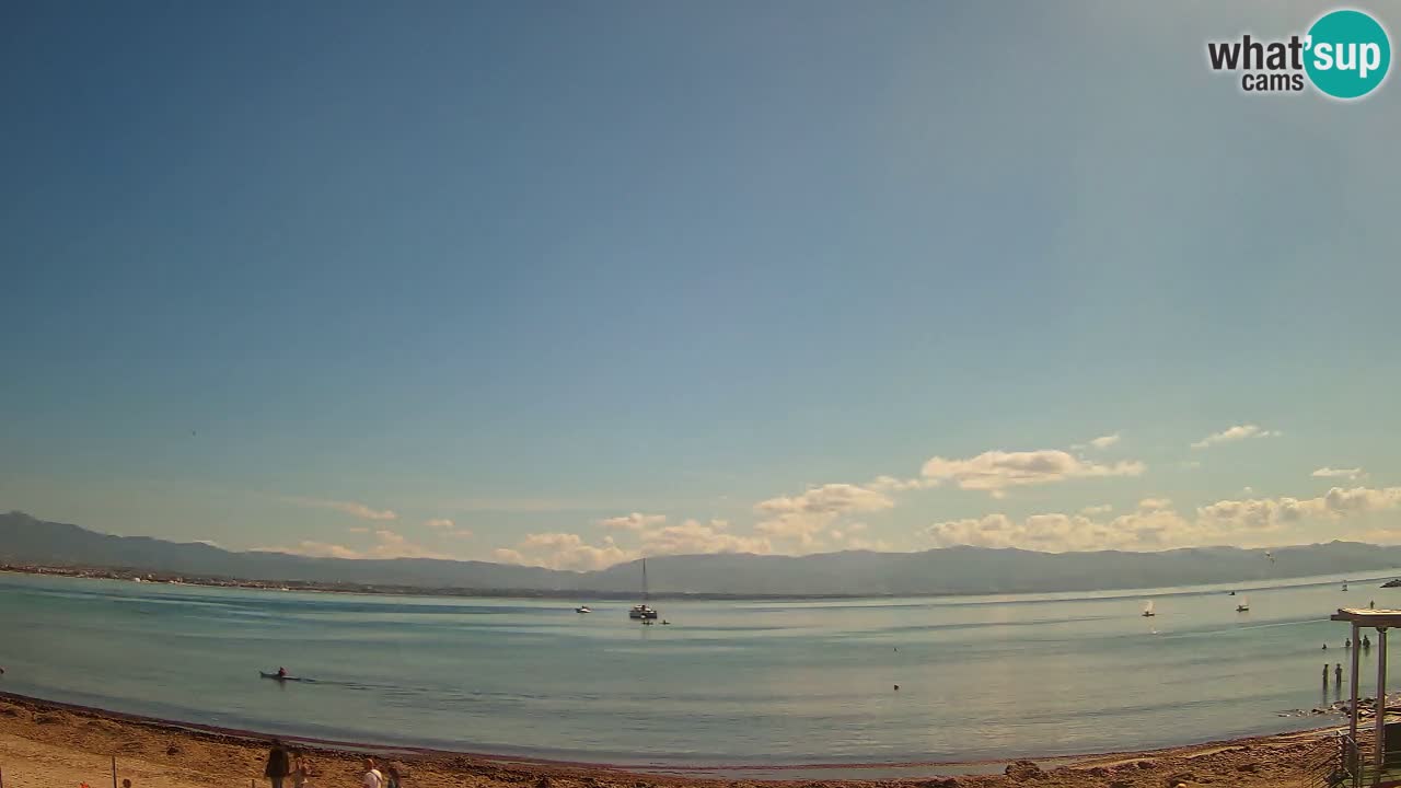 Webcam Cagliari Windsurf Club – Plage du Poetto en direct