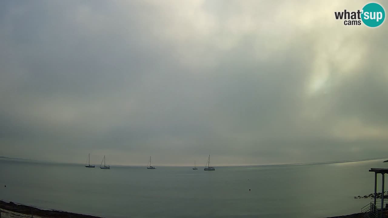 Webcam Cagliari Windsurf Club – Playa del Poetto en directo