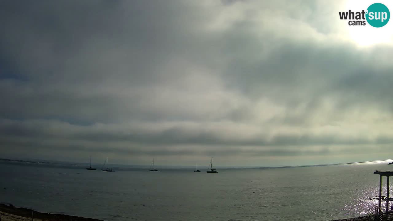 Webcam Cagliari Windsurf Club – Playa del Poetto en directo