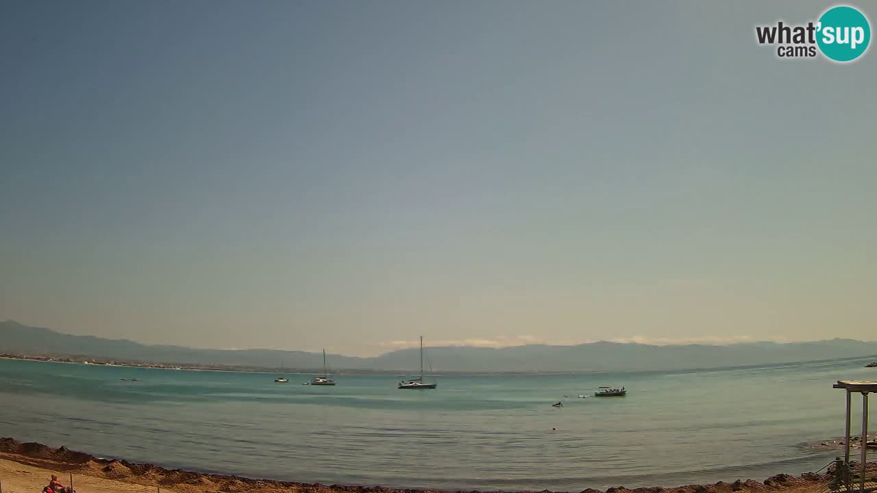 Webcam Cagliari Windsurf Club – Plage du Poetto en direct