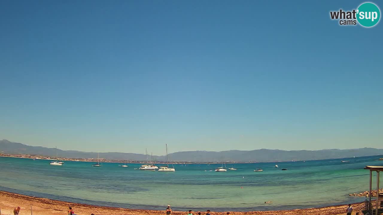 Web kamera Cagliari Windsurf Club – Poetto plaža uživo