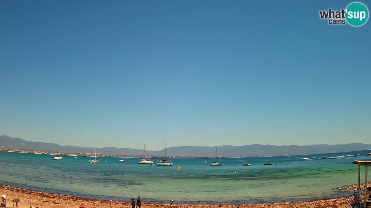 Webcam Cagliari Windsurf Club – Liveblick vom Poetto Strand