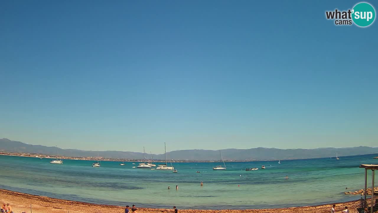 Webcam Cagliari Windsurf Club – Plage du Poetto en direct