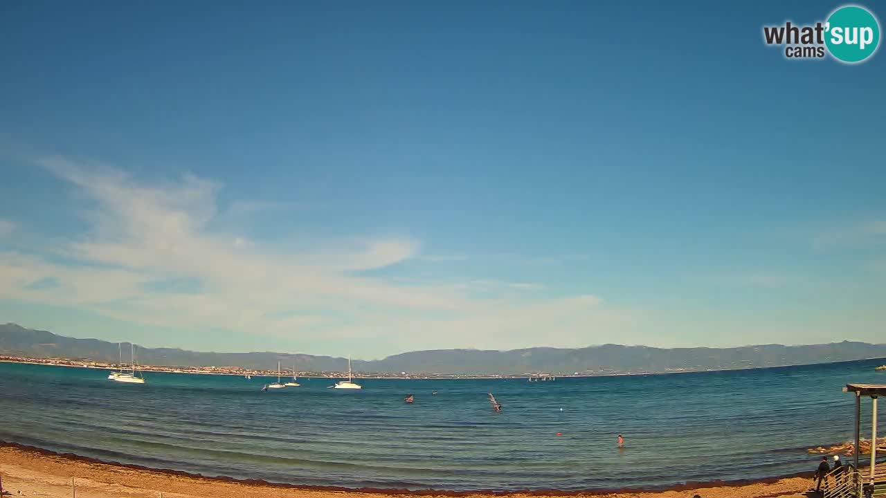 Webcam Cagliari Windsurf Club – Live from Poetto Beach