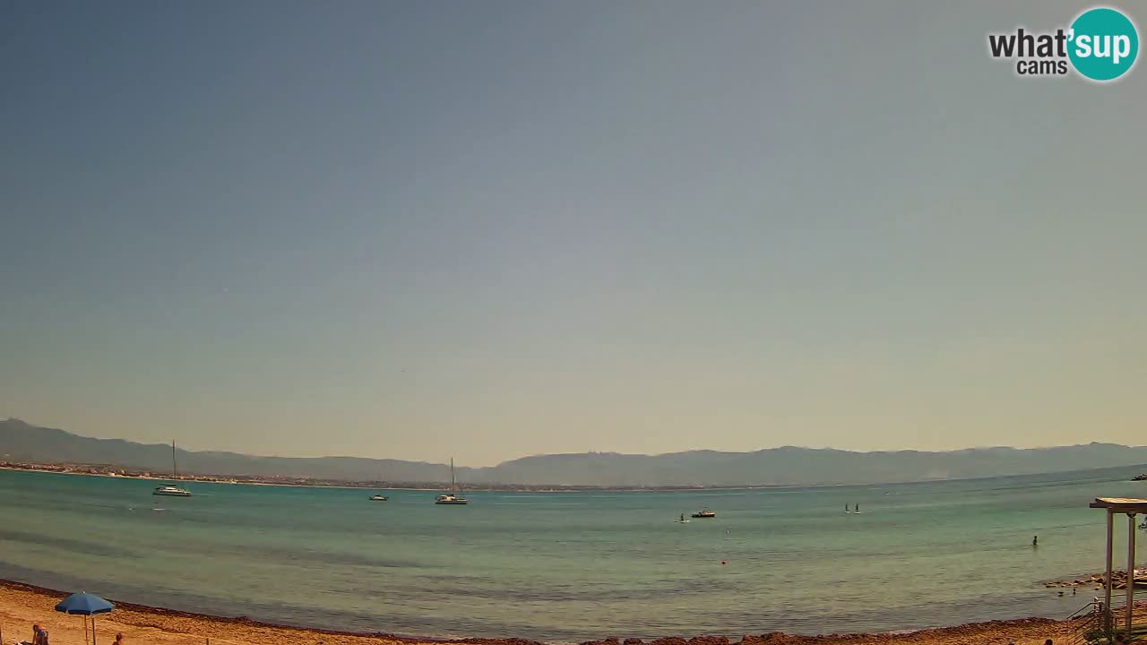 Webcam Cagliari Windsurf Club – Liveblick vom Poetto Strand