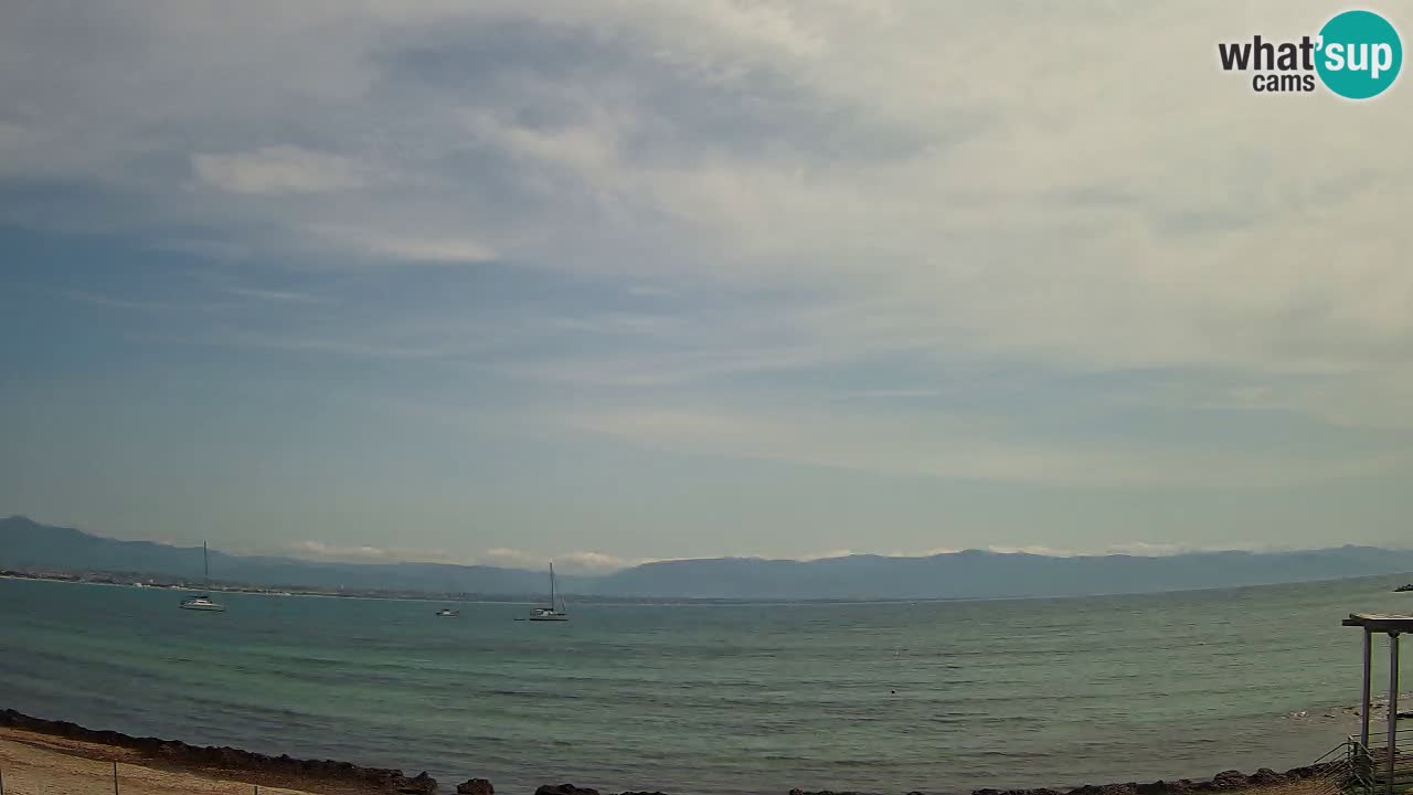 Webcam Cagliari Windsurf Club – Live from Poetto Beach
