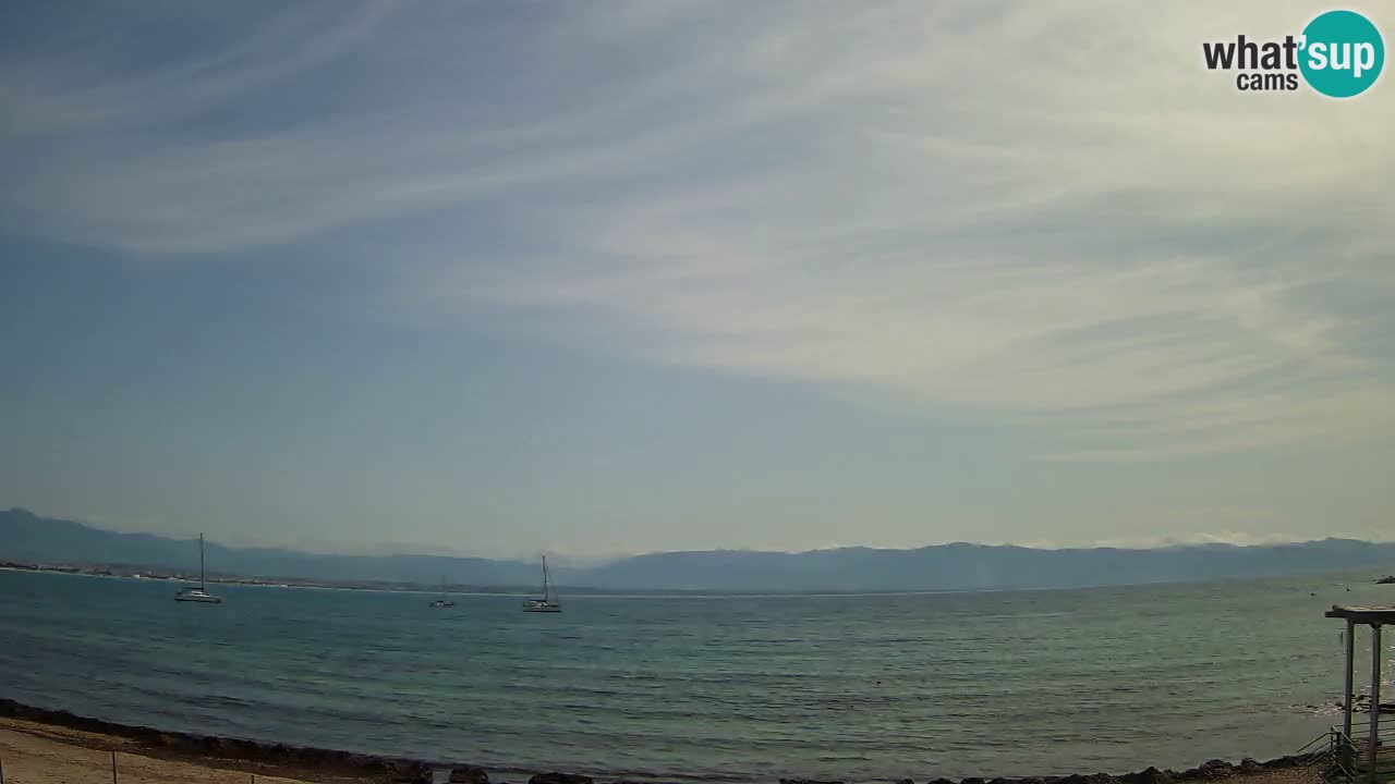 Webcam Cagliari Windsurf Club – Liveblick vom Poetto Strand