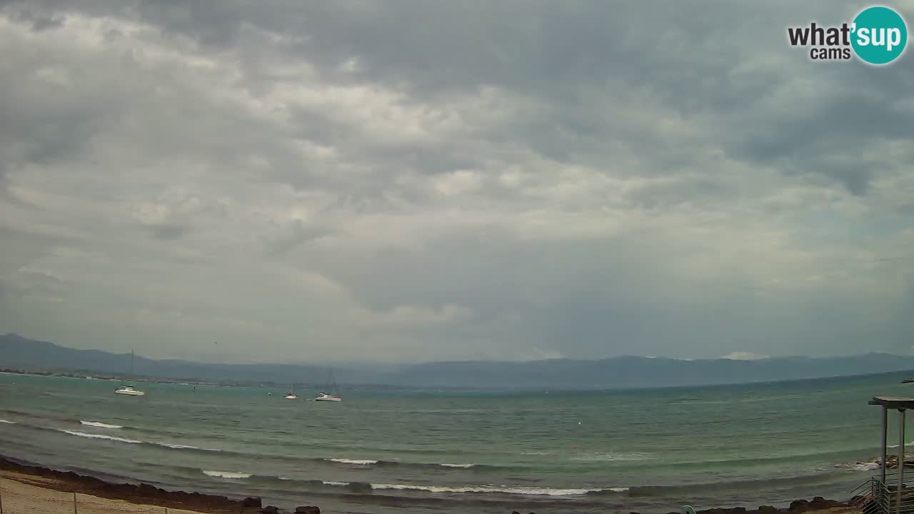 Web kamera Cagliari Windsurf Club – Poetto plaža uživo