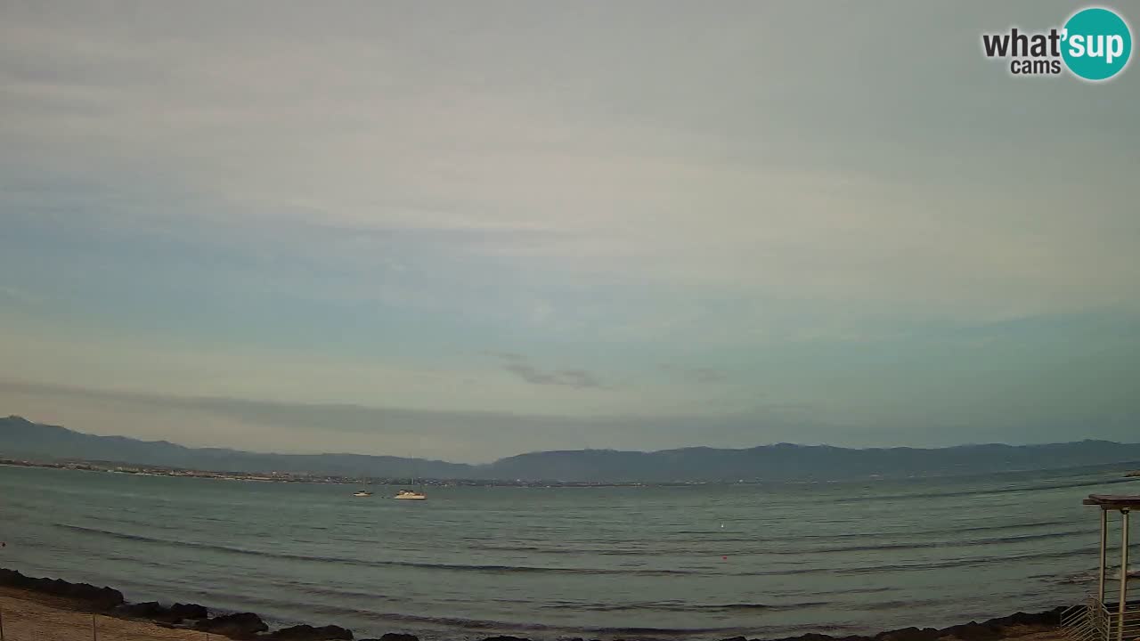 Webcam Cagliari Windsurf Club – Playa del Poetto en directo