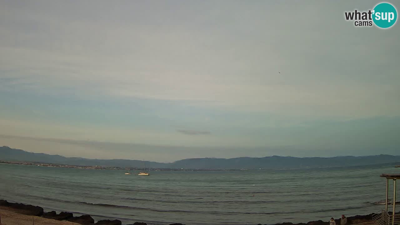 Webcam Cagliari Windsurf Club – Live from Poetto Beach