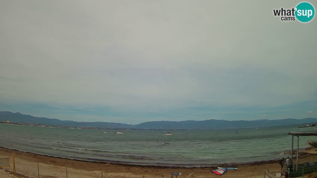 Webcam Cagliari Windsurf Club – Plage du Poetto en direct