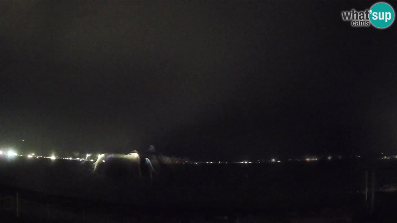 Webcam Cagliari Windsurf Club – Plage du Poetto en direct