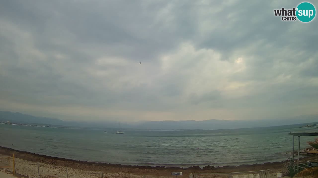Webcam Cagliari Windsurf Club – Liveblick vom Poetto Strand