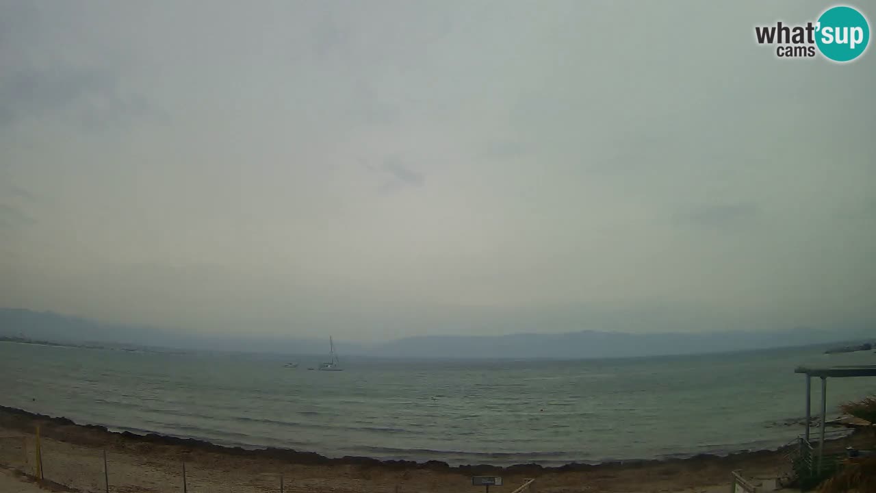 Webcam Cagliari Windsurf Club – Playa del Poetto en directo