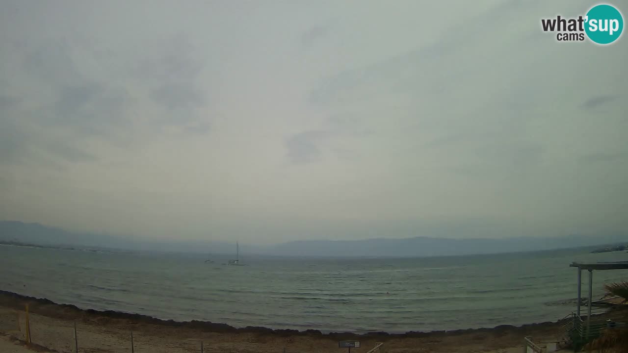 Web kamera Cagliari Windsurf Club – Poetto plaža uživo