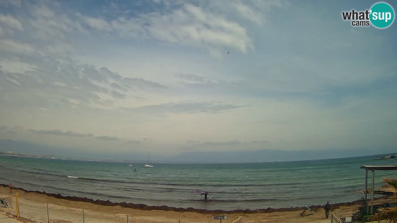 Webcam Cagliari Windsurf Club – Spiaggia del Poetto in diretta