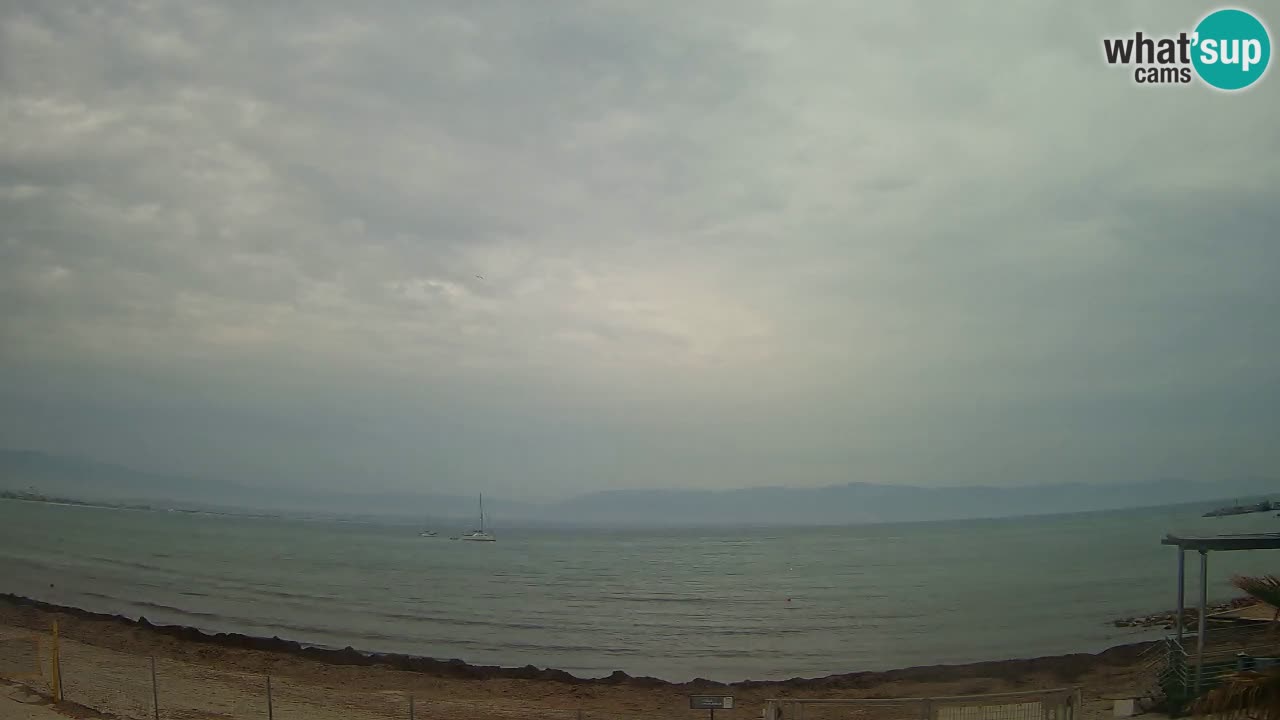 Webcam Cagliari Windsurf Club – Plage du Poetto en direct