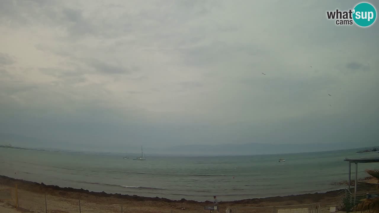 Spletna kamera Cagliari Windsurf Club – Pogled v živo s plaže Poetto