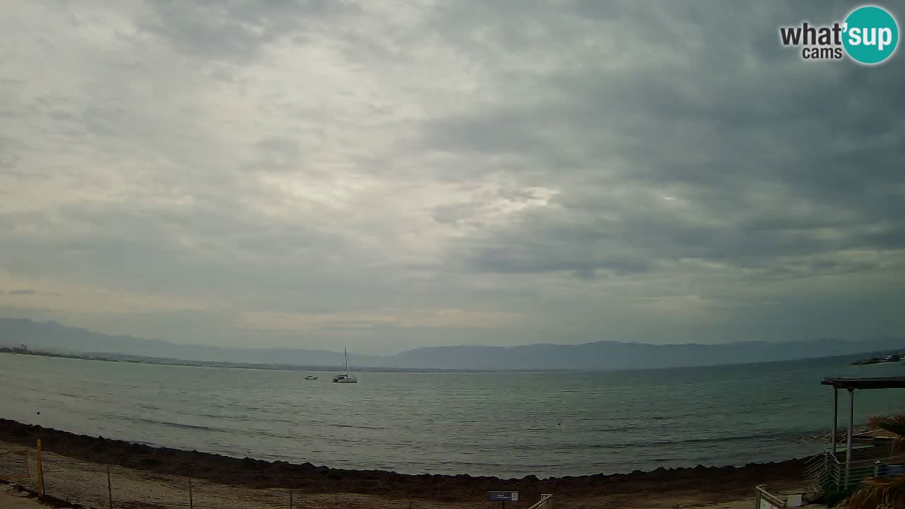 Webcam Cagliari Windsurf Club – Live from Poetto Beach