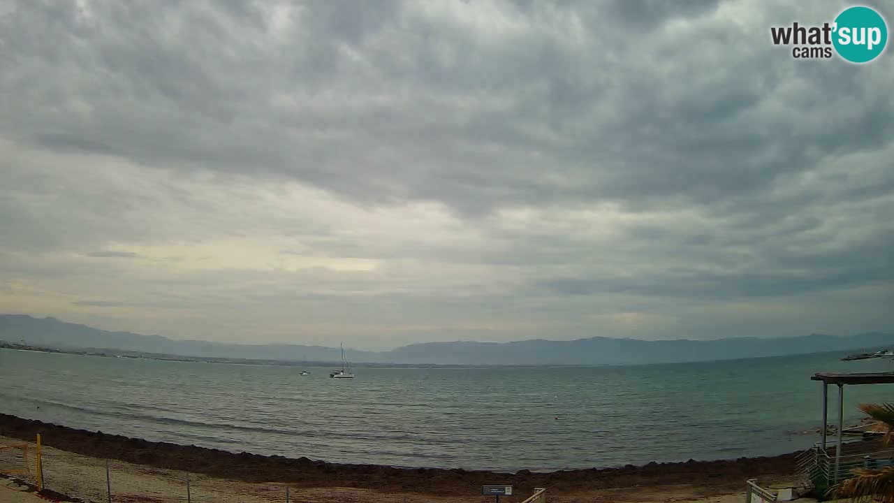 Webcam Cagliari Windsurf Club – Liveblick vom Poetto Strand