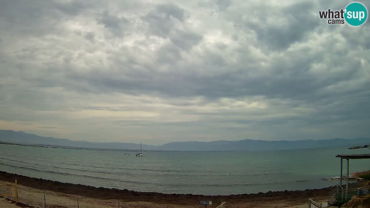 Webcam Cagliari Windsurf Club – Plage du Poetto en direct