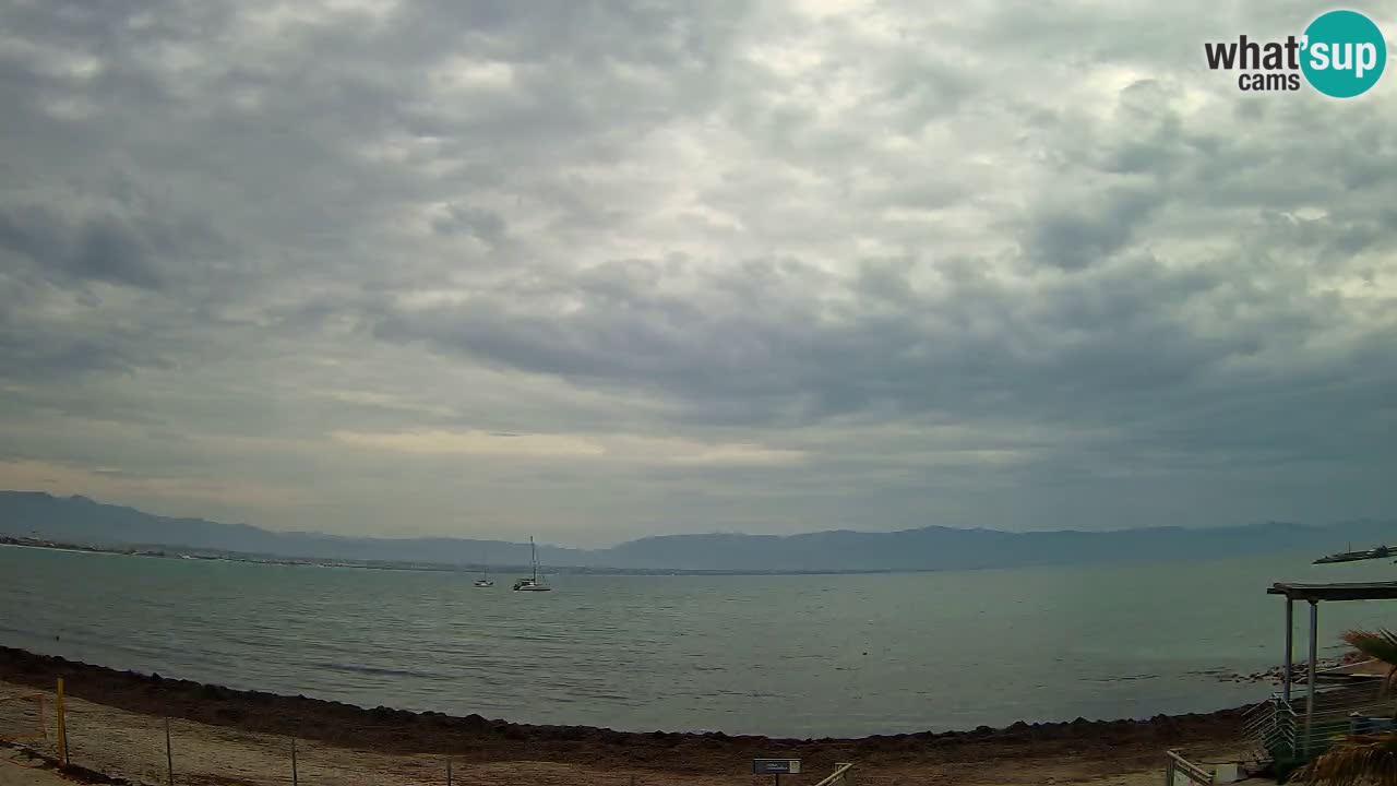 Spletna kamera Cagliari Windsurf Club – Pogled v živo s plaže Poetto