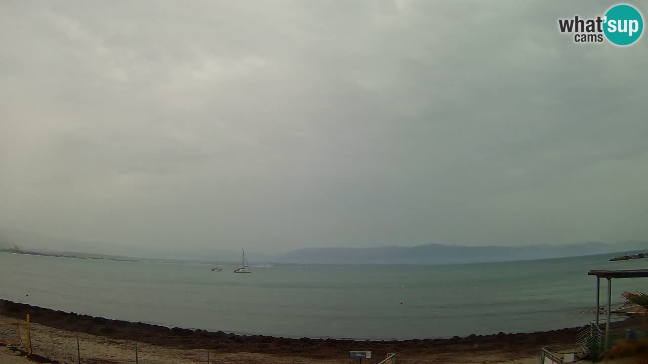 Spletna kamera Cagliari Windsurf Club – Pogled v živo s plaže Poetto