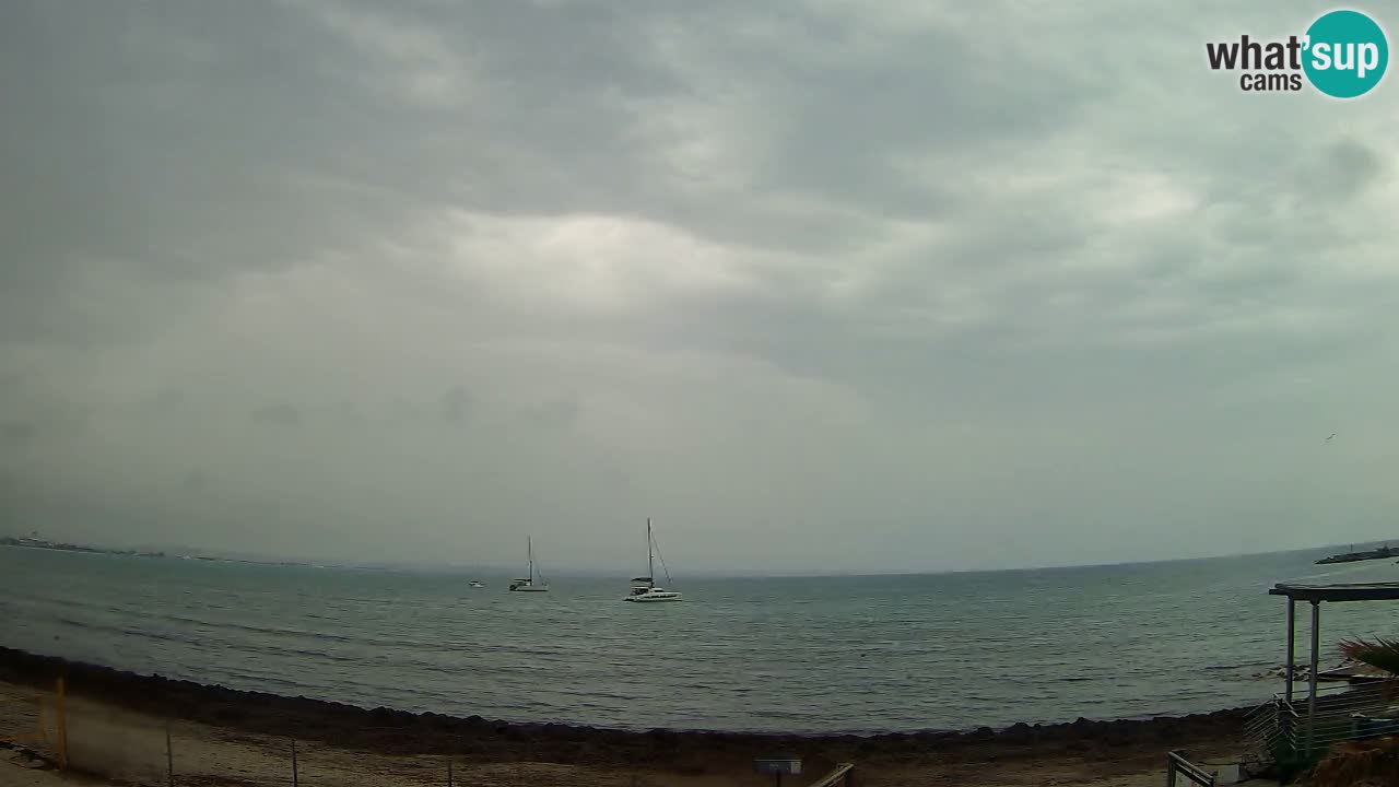 Webcam Cagliari Windsurf Club – Live from Poetto Beach
