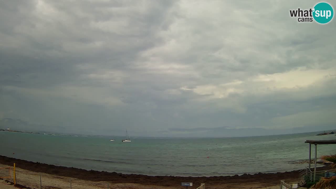 Webcam Cagliari Windsurf Club – Playa del Poetto en directo