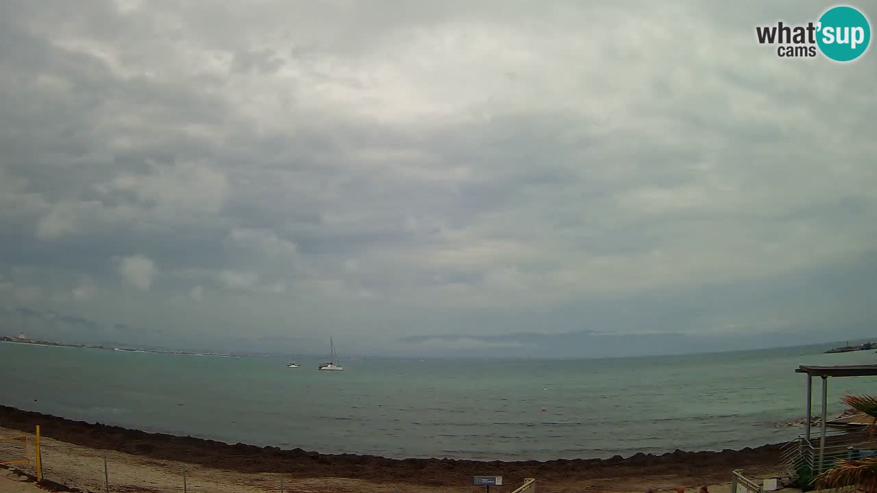 Webcam Cagliari Windsurf Club – Playa del Poetto en directo