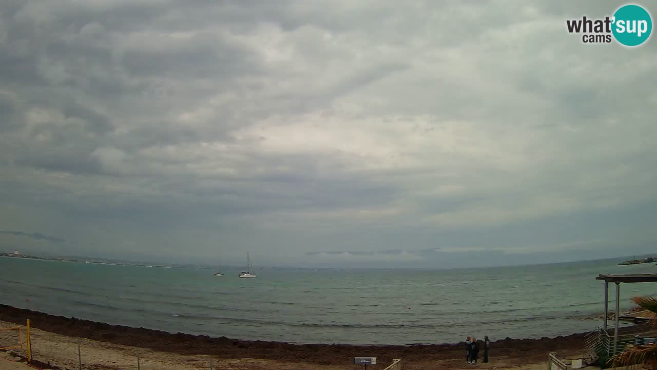 Web kamera Cagliari Windsurf Club – Poetto plaža uživo