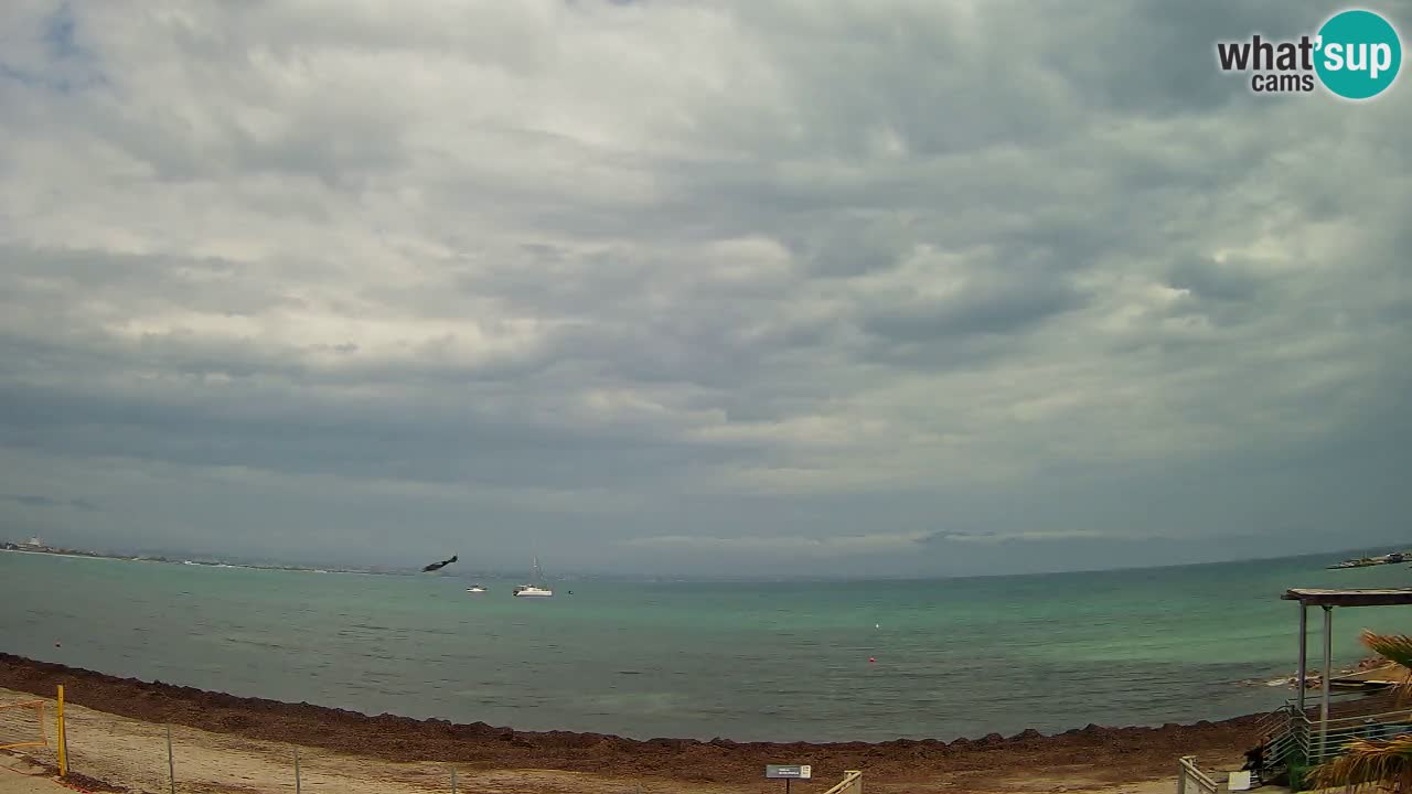 Webcam Cagliari Windsurf Club – Live from Poetto Beach