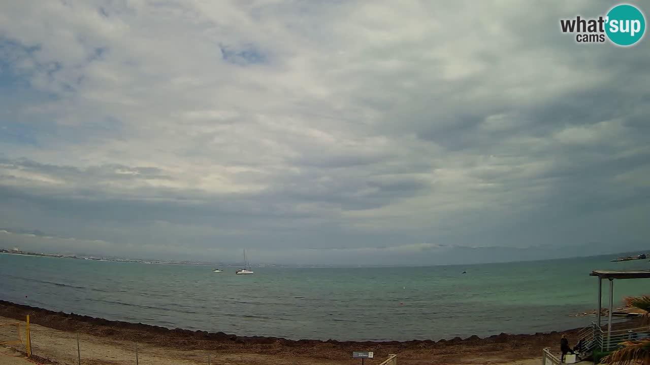 Webcam Cagliari Windsurf Club – Live from Poetto Beach