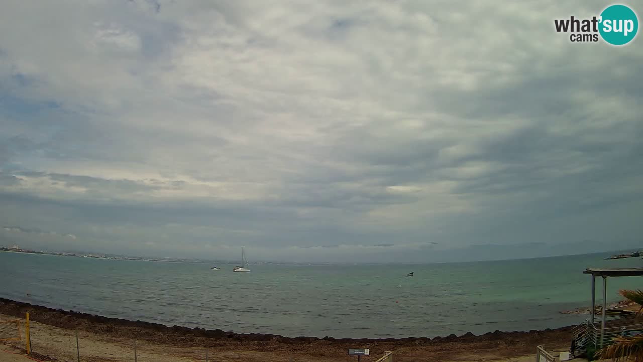 Webcam Cagliari Windsurf Club – Plage du Poetto en direct