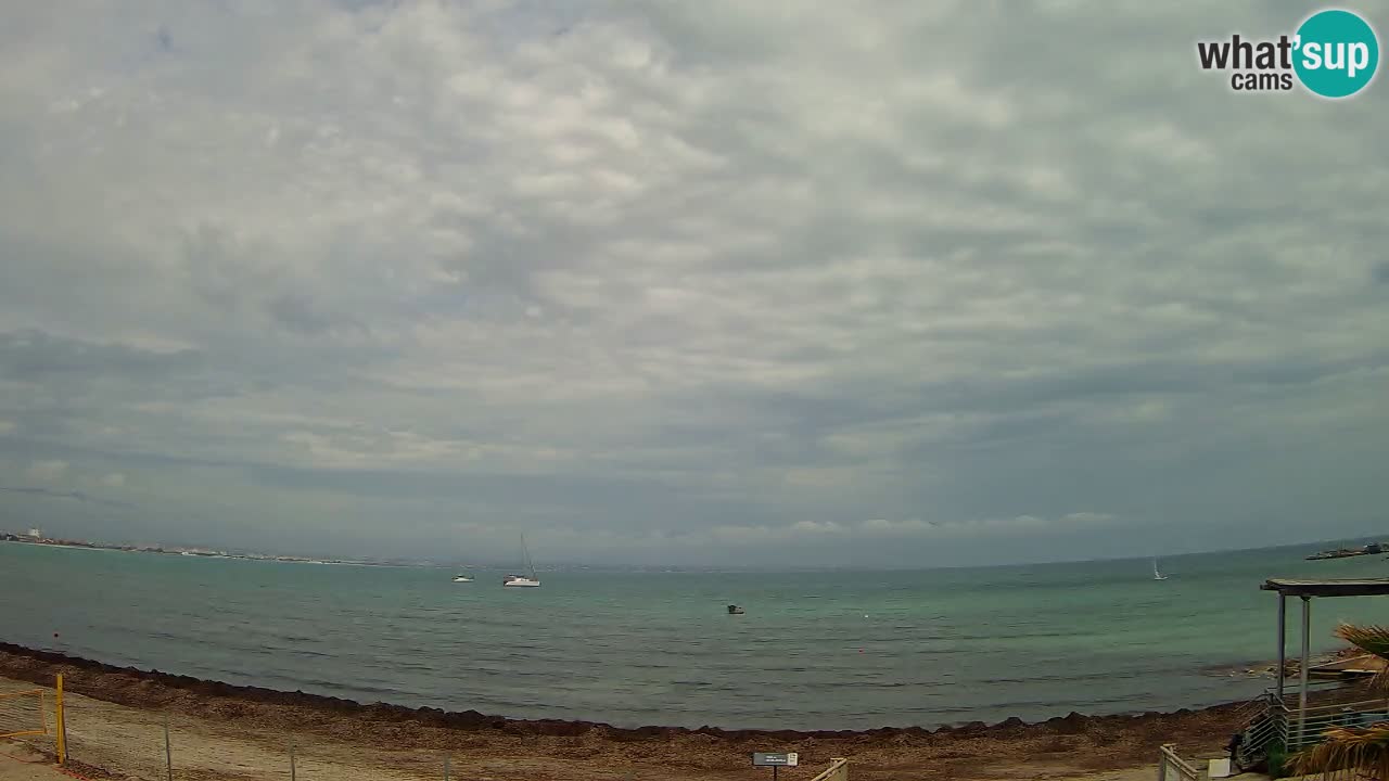 Webcam Cagliari Windsurf Club – Plage du Poetto en direct