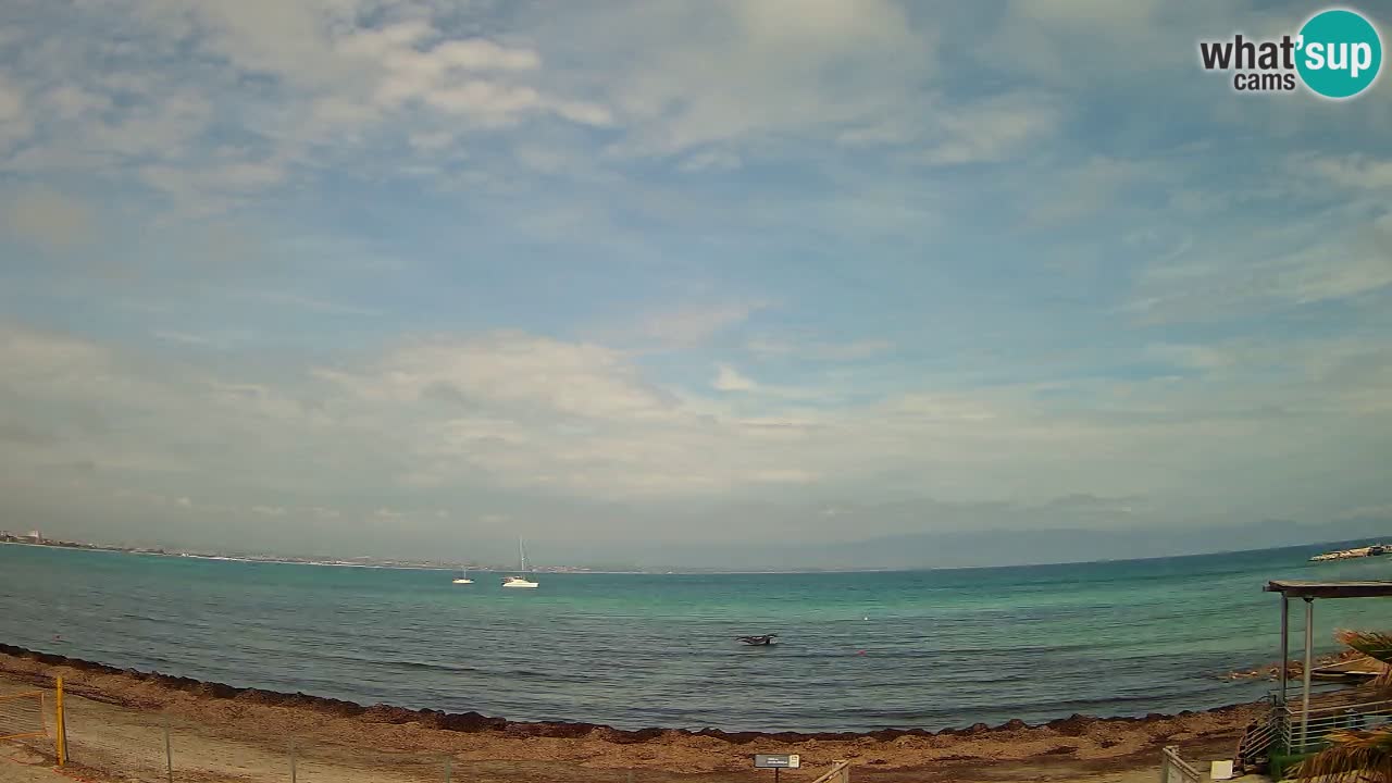 Webcam Cagliari Windsurf Club – Plage du Poetto en direct
