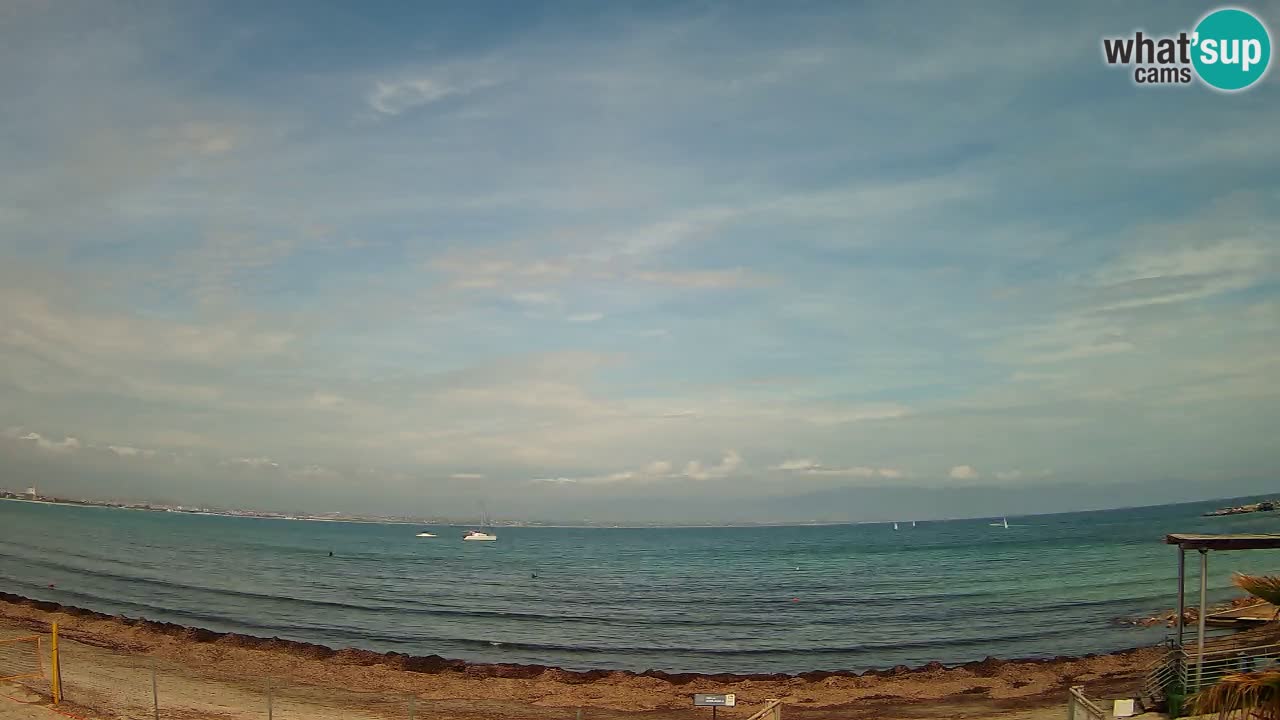 Webcam Cagliari Windsurf Club – Live from Poetto Beach