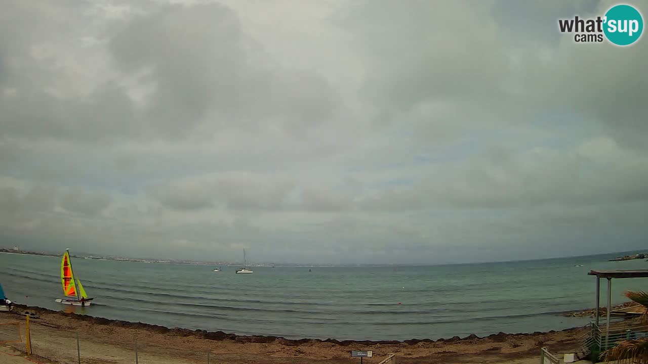 Webcam Cagliari Windsurf Club – Spiaggia del Poetto in diretta