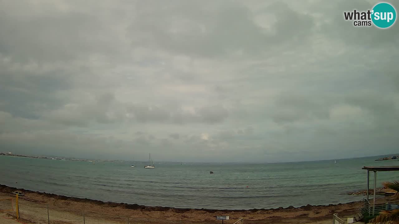 Webcam Cagliari Windsurf Club – Live from Poetto Beach