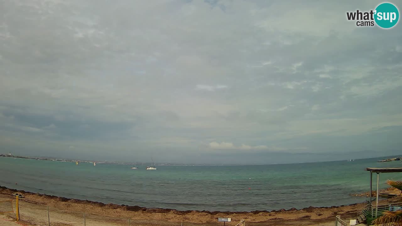 Web kamera Cagliari Windsurf Club – Poetto plaža uživo