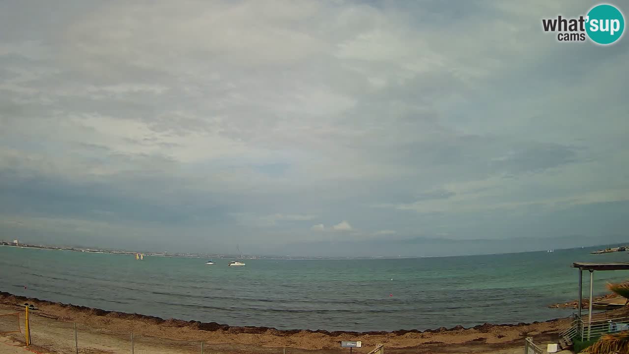 Webcam Cagliari Windsurf Club – Live from Poetto Beach
